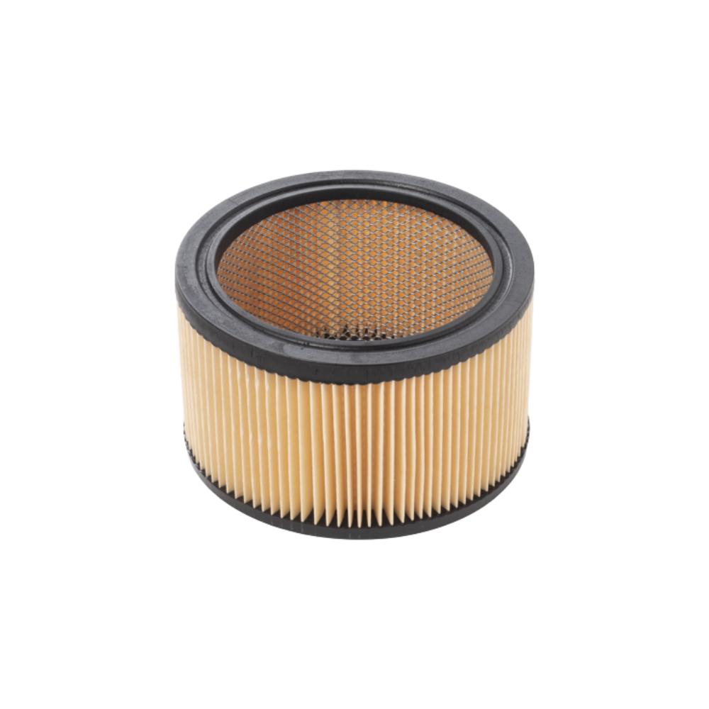 26817_ASP21-F.png FILTRO CARTUCCIA X ASPIRAPOLVERE POWER D 12 - immagine 1